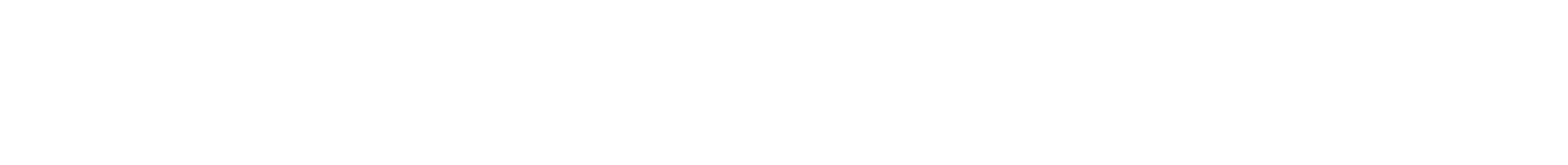 Bsvfodbold